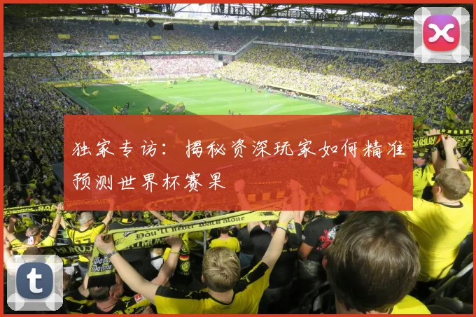 独家专访：揭秘资深玩家如何精准预测世界杯赛果