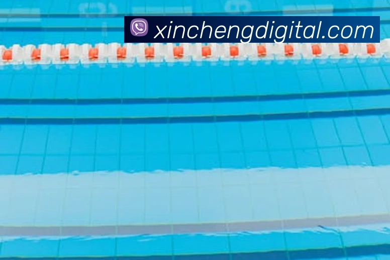 乐竞体育网站首页平台生态图