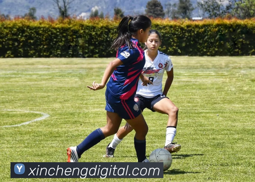 乐竞体育网站首页全站App